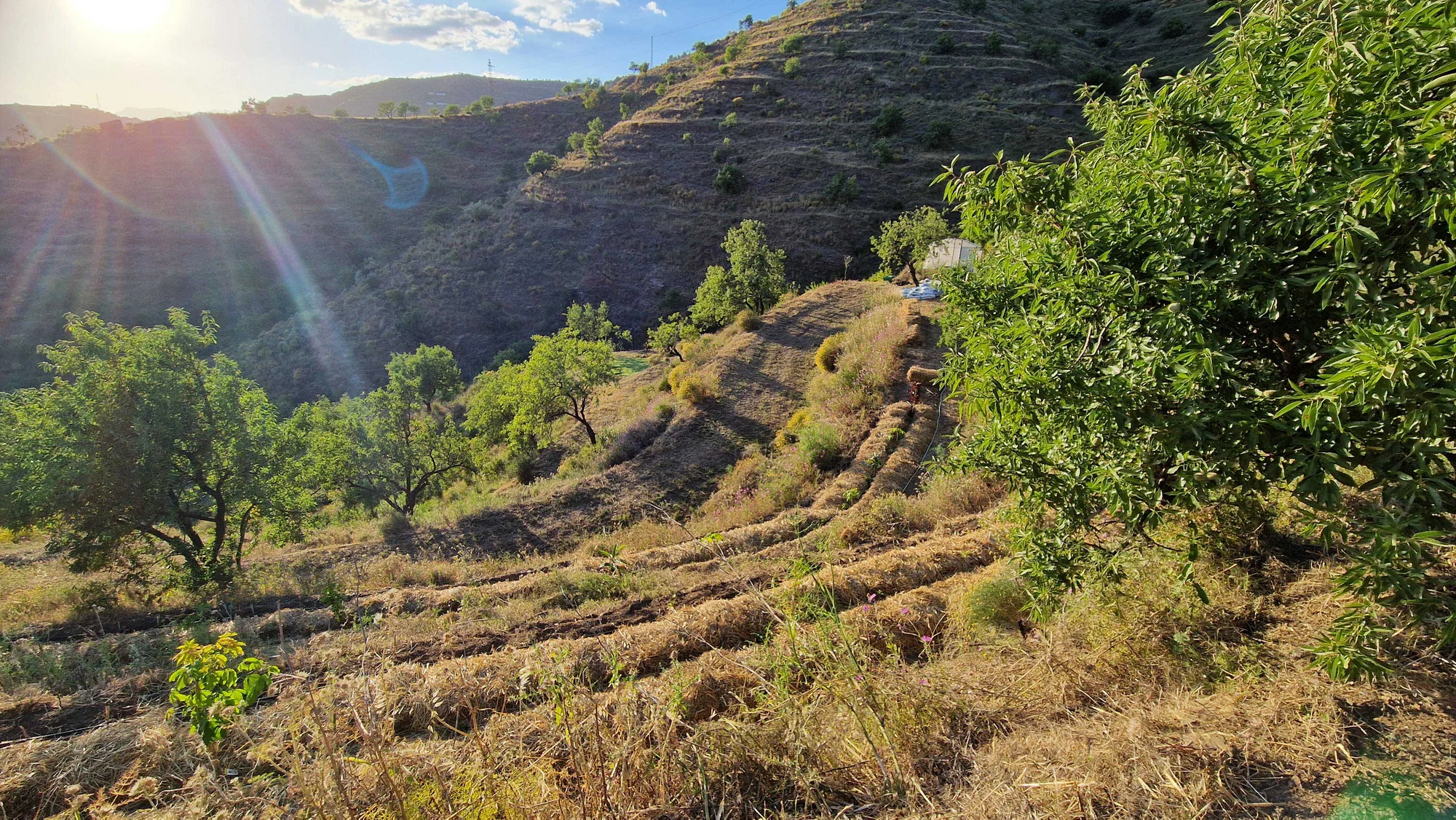 A group gathered at the finca