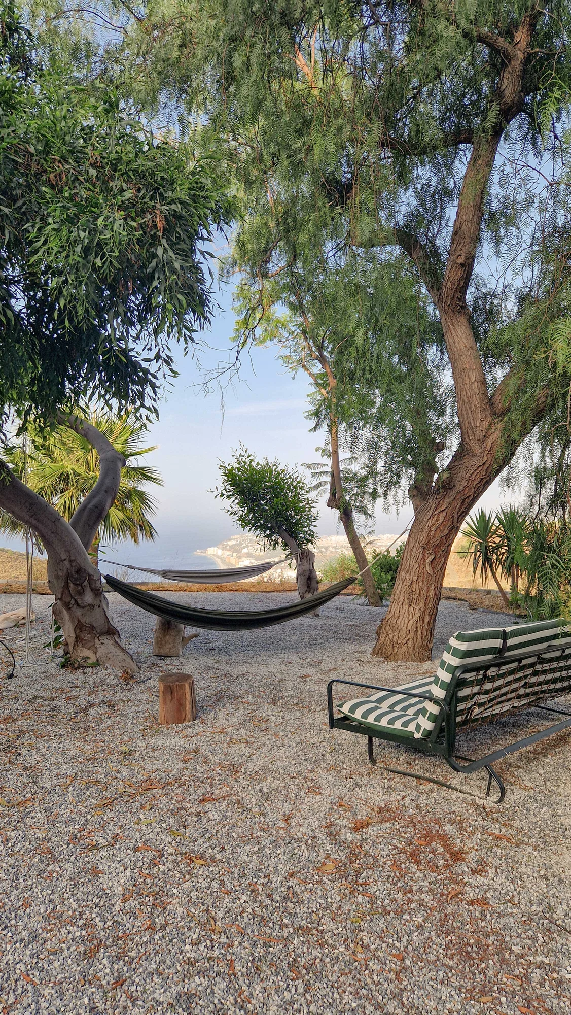 A hammock slung between olive trees, with the coast beyond
