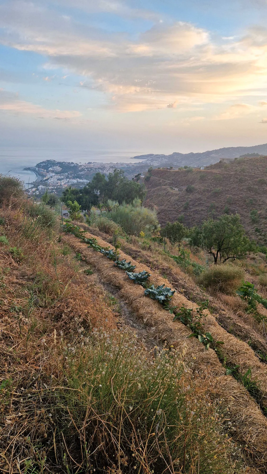 Land activities
