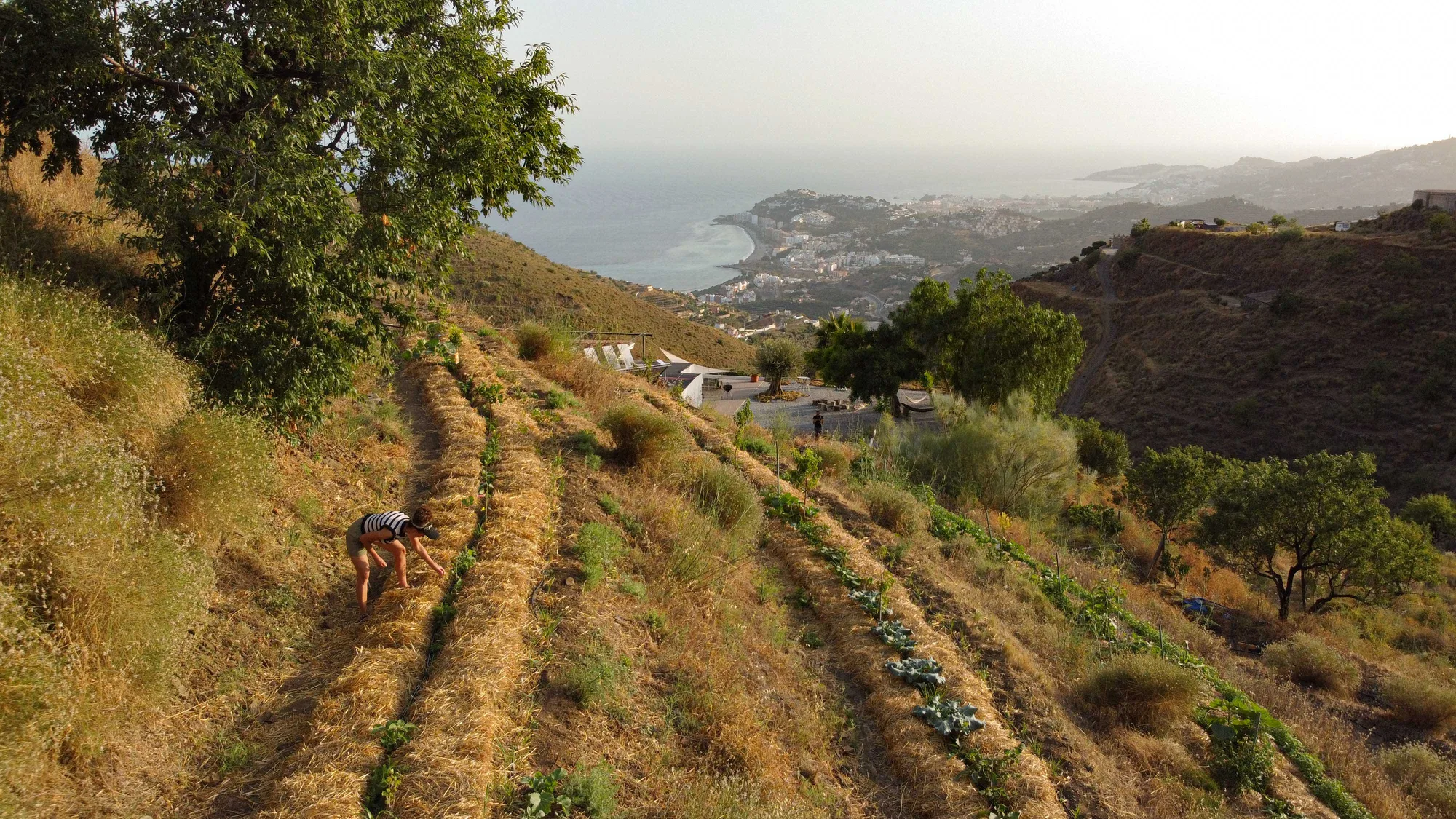 The finca and the coast seen from above