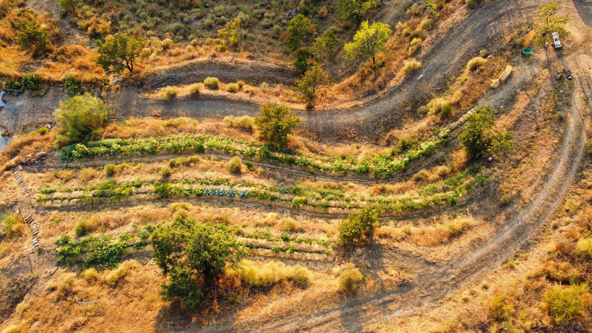 The contoured agroforestry terraces seen from above