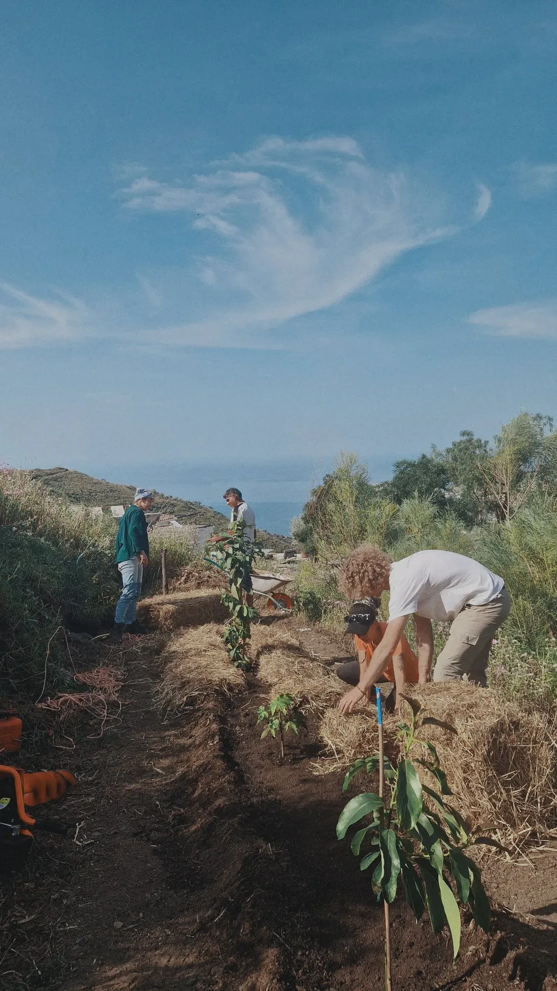 A group working together on one of the terraces